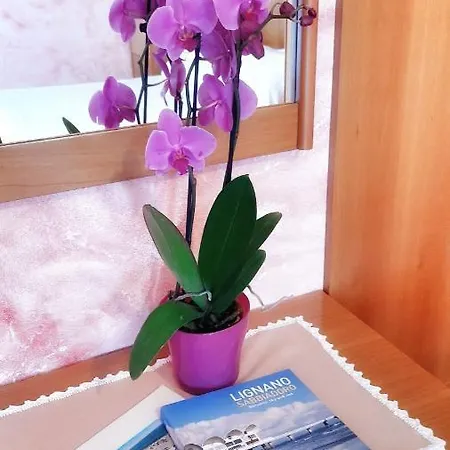 & Wellness Fra I Pini