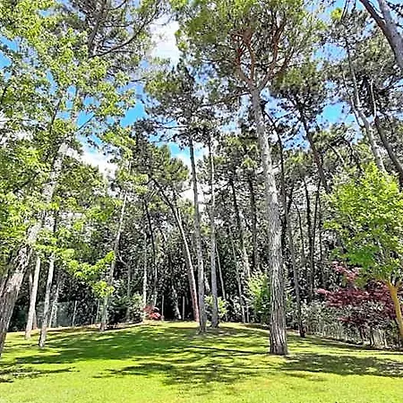 & Wellness Fra I Pini ホテル