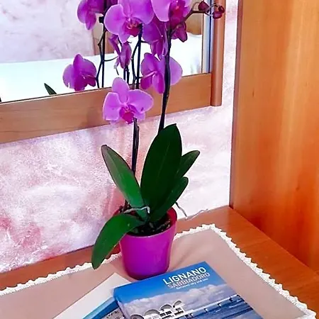 & Wellness Fra I Pini 3*