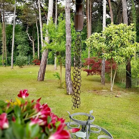 & Wellness Fra I Pini 3* リニャーノ・サッビアドーロ