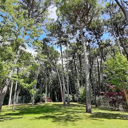 Hotel & Wellness Fra I Pini 3*